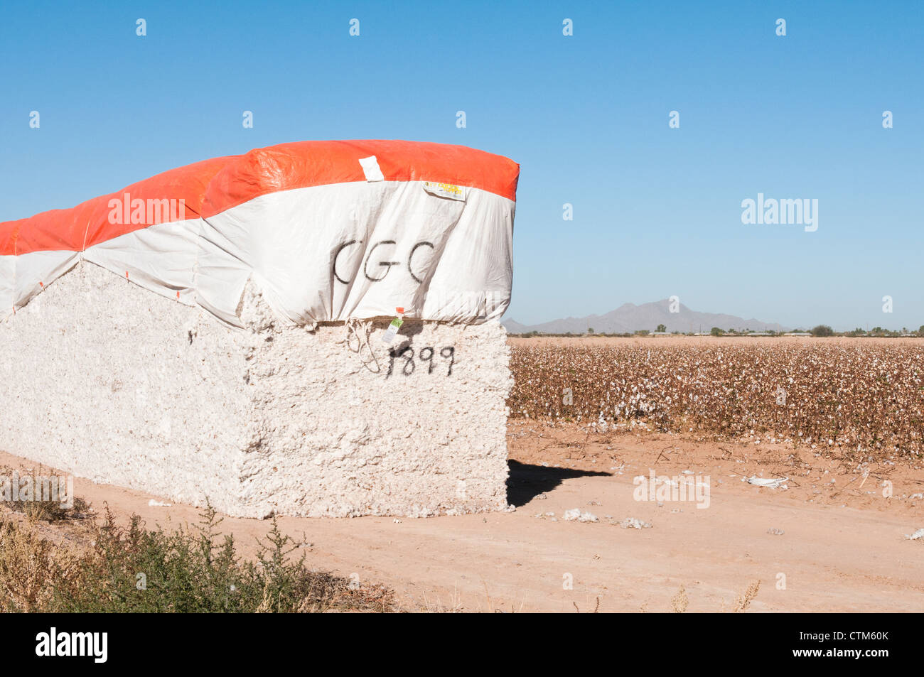 Cotton Module High Resolution Stock Photography and Images Alamy
