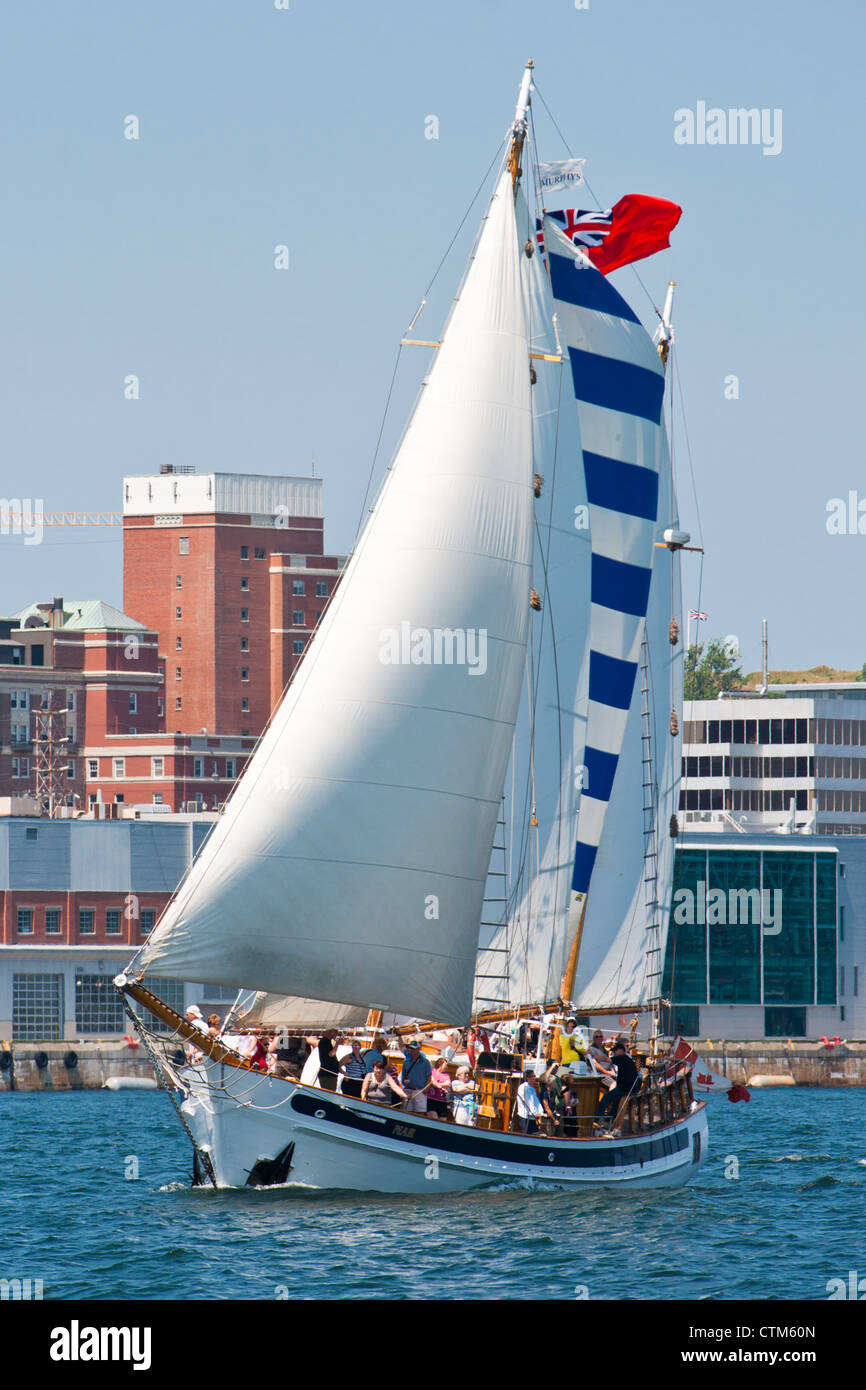 The tour boat Mar under sail with the Halifax, Nova Scotia, waterfront in the background Stock