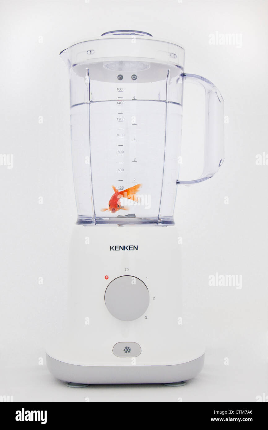 kenwood blp400bk blender