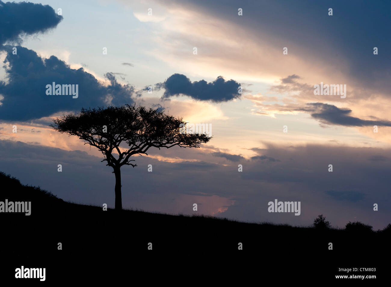 Sunset over maasai mara hi-res stock photography and images - Alamy