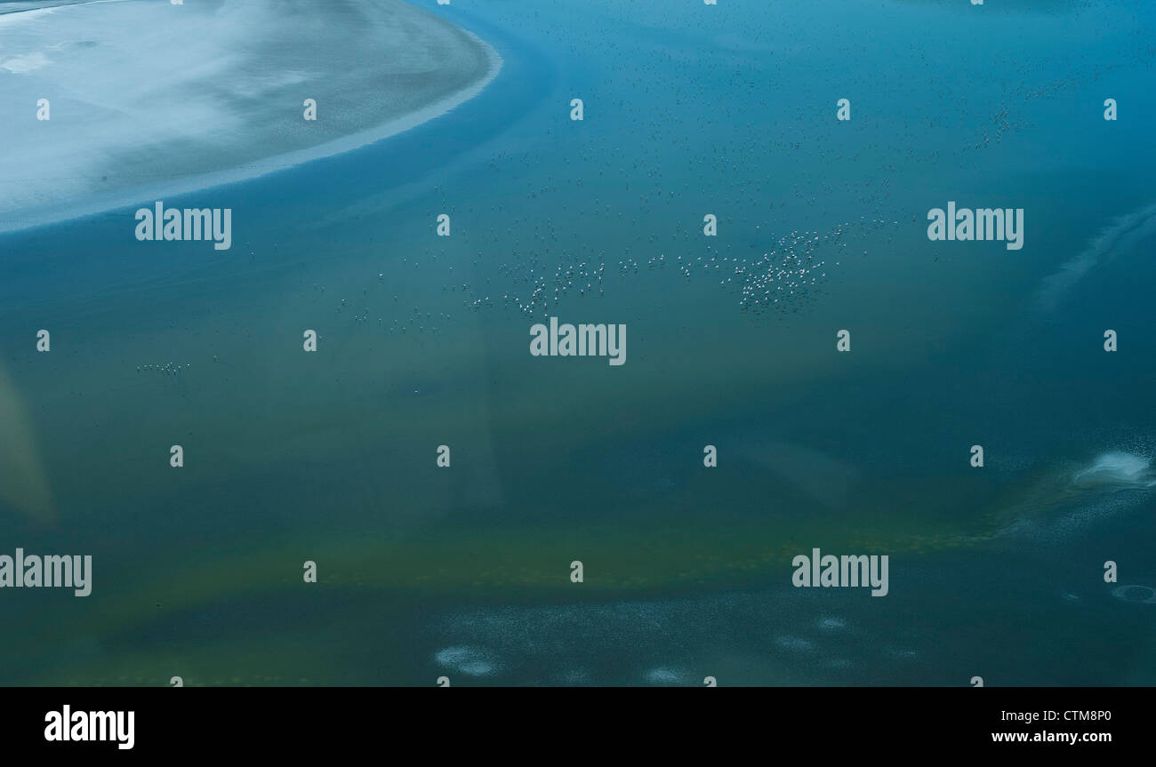 Aerial view of flamingoes on Lake Magadi, Kenya Stock Photo