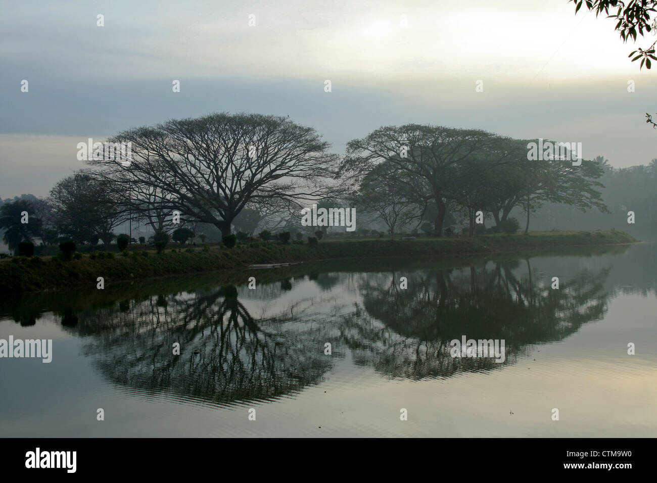 Graphic pattern of reflected images of trees in water Stock Photo - Alamy