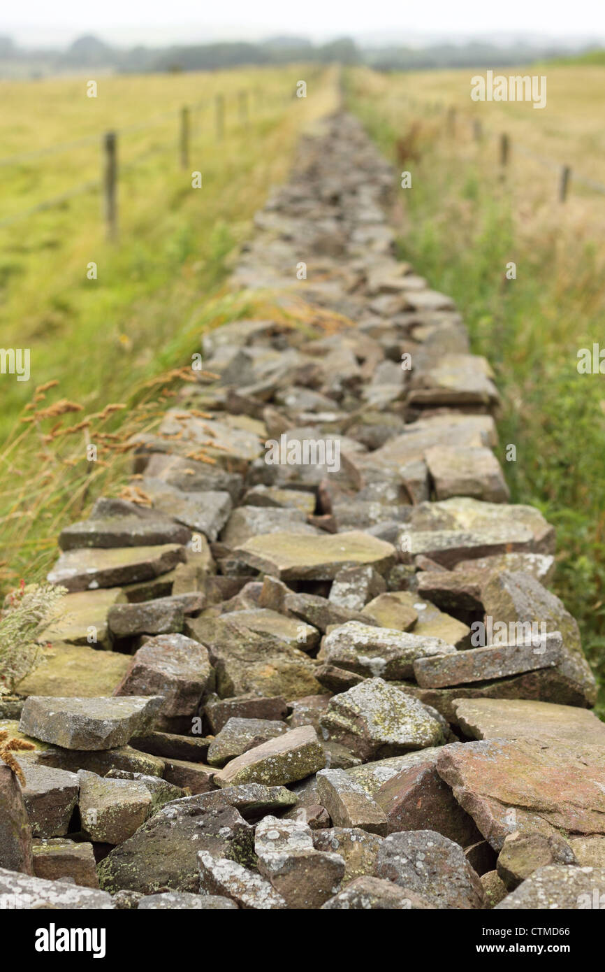 Dry stone wall Mendip Hills Somerset England UK Stock Photo