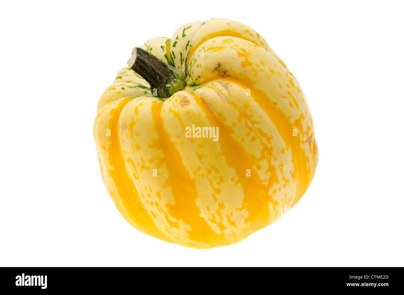 Pumpkin gourd - studio shot with a white background Stock Photo