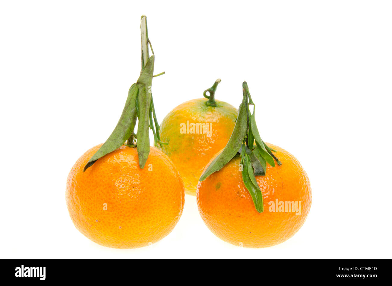Fresh Clementines with leaves - studio shot on a white background Stock Photo