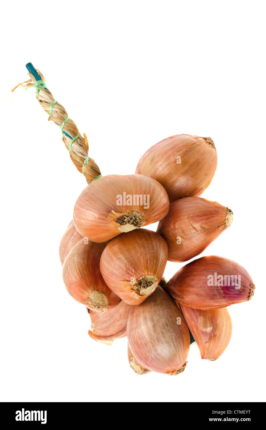 Shallot Stock Photo by ©shirotie 2461435