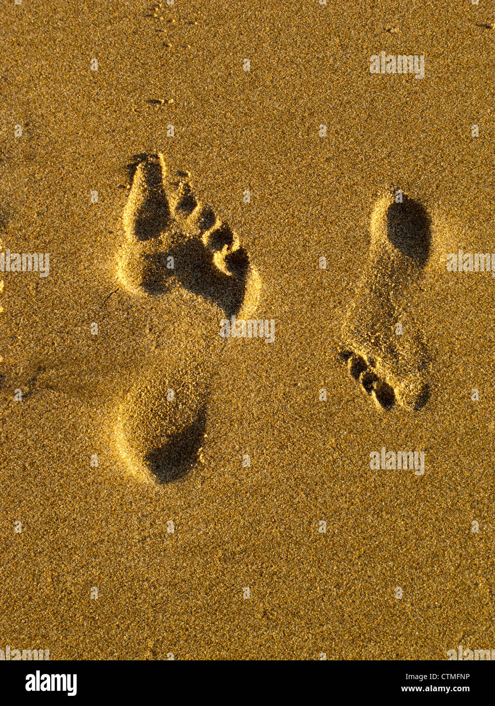Opposing footprints in sand. Stock Photo