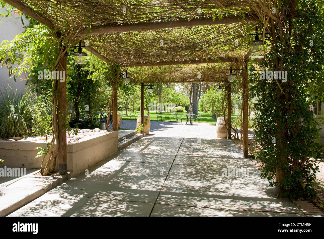 Alley Covered With Vines Opening To A Garden; Mendoza, Argentina Stock Photo