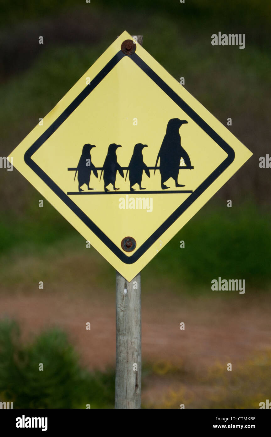 Street sign depicting penguins, South Africa Stock Photo - Alamy