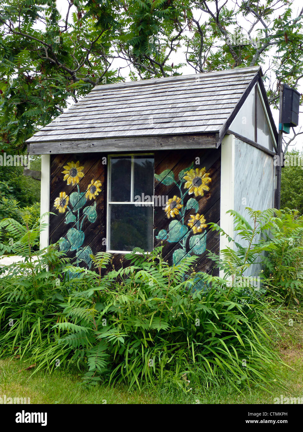 Painted garden shed with sunflowers in community garden, Yarmouth Maine, USA Stock Photo