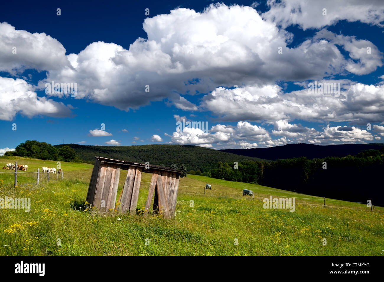 summer green meadows in mountains under beautiful sky Stock Photo