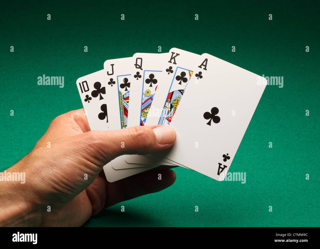 A man's hand holding playing cards on a green table. A Royal Flush of clubs in the game of Poker Stock Photo