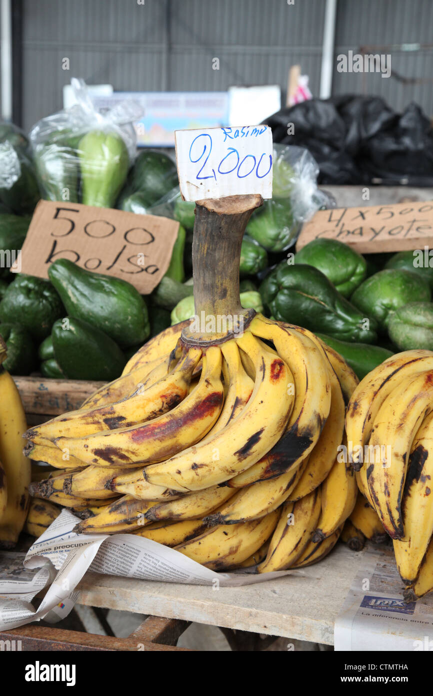 Bananas, Costa Rica Stock Photo Alamy