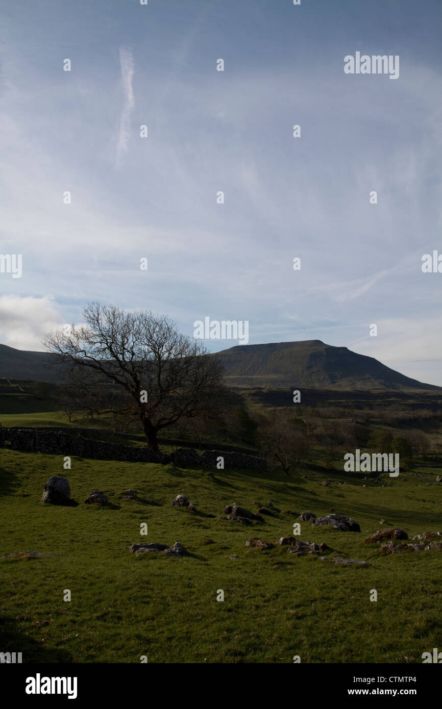 Ingleborough Mountain from Chapel Le Dale Stock Photo - Alamy