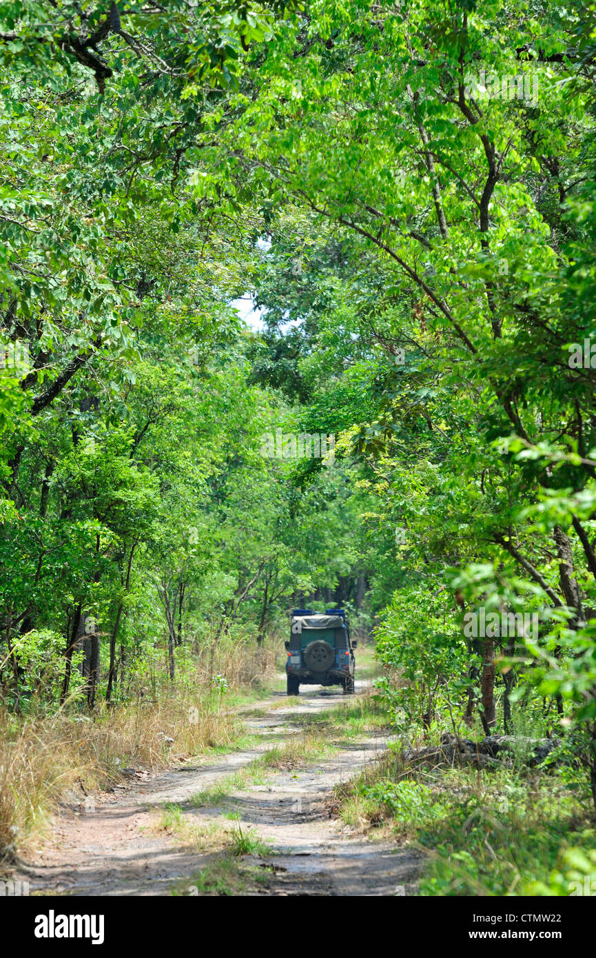 Miombo woodland zambia hi-res stock photography and images - Alamy