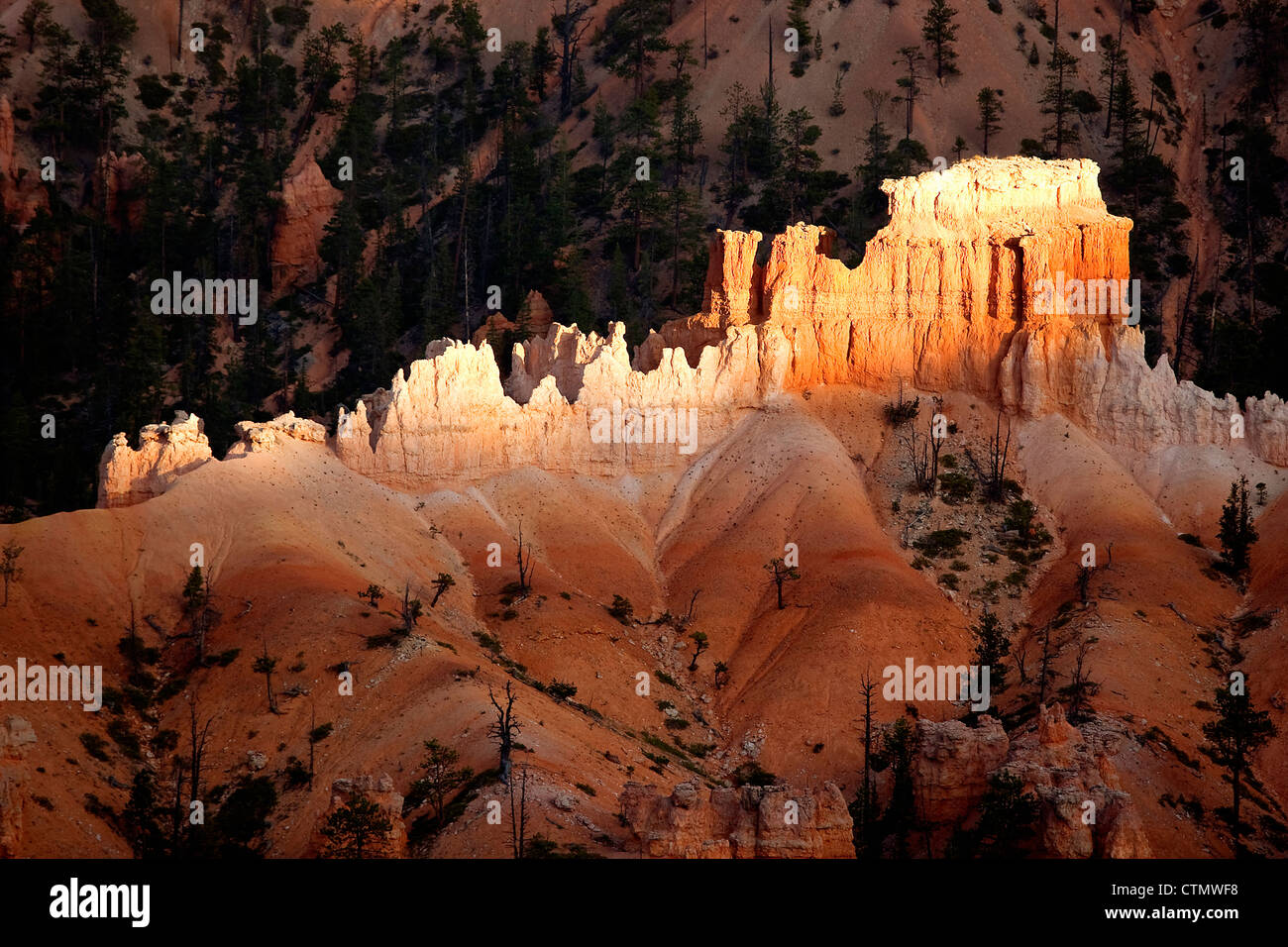 Sandstone formation in the Bryce amphitheater, Bryce Canyon National Park, USA. Stock Photo