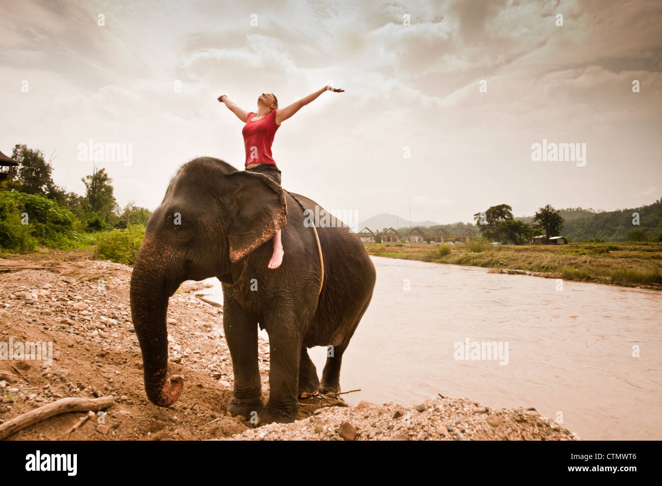 Woman enjoys riding elephant as it swims in river in Pai, Northern Thailand, Thailand Stock