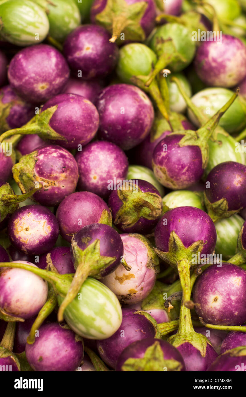 thai apple eggplants, is commonly used for curries. Photo is taken at Pasar Siti Khadijah, kota bharu, malaysia Stock Photo