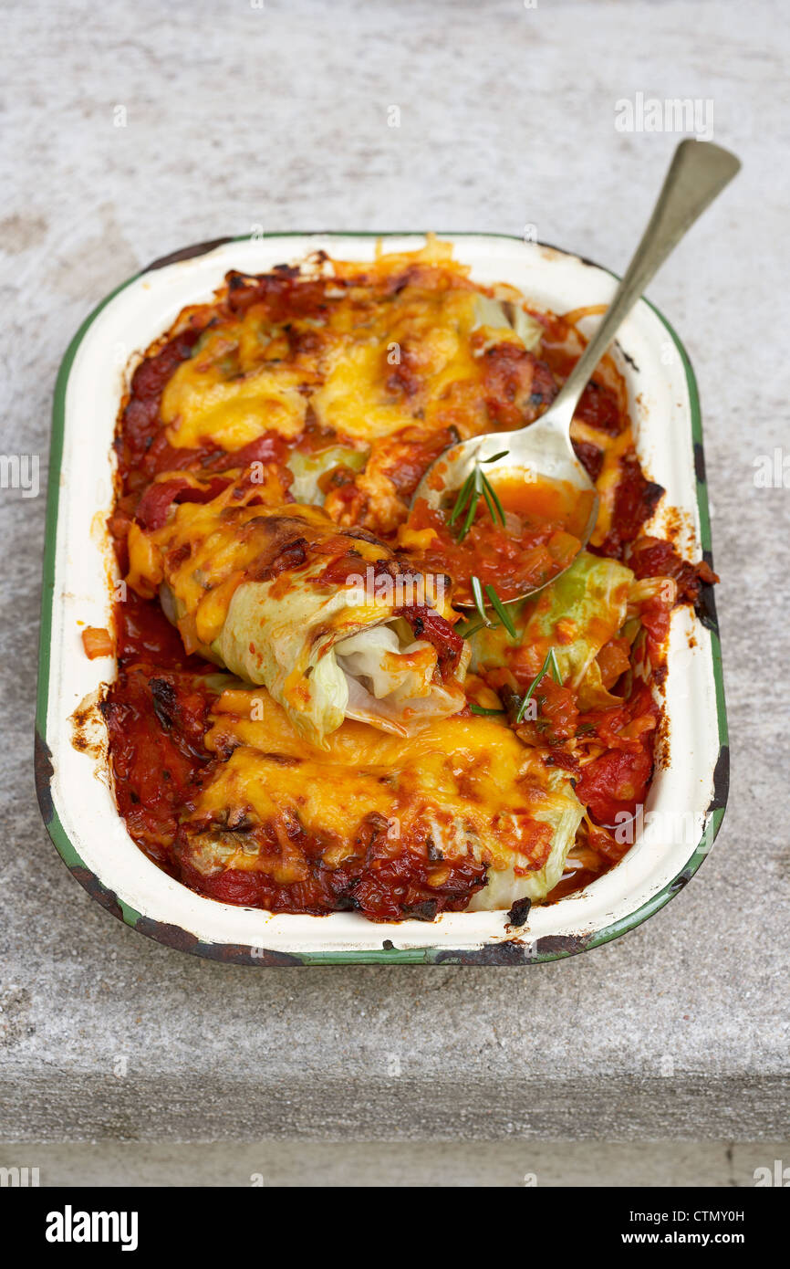 Traditional African cooking. Egyptian cabbage rolls. Ingredients
