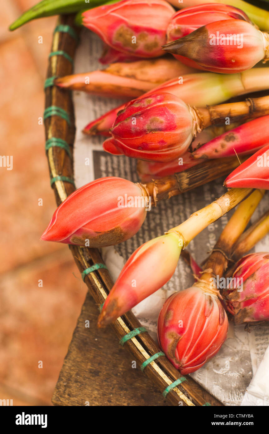 ginger flower on market, asia cooking ingredients. Stock Photo