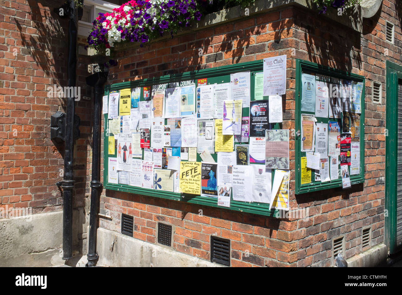 Notice board with posters in Bridport Dorset UK Stock Photo