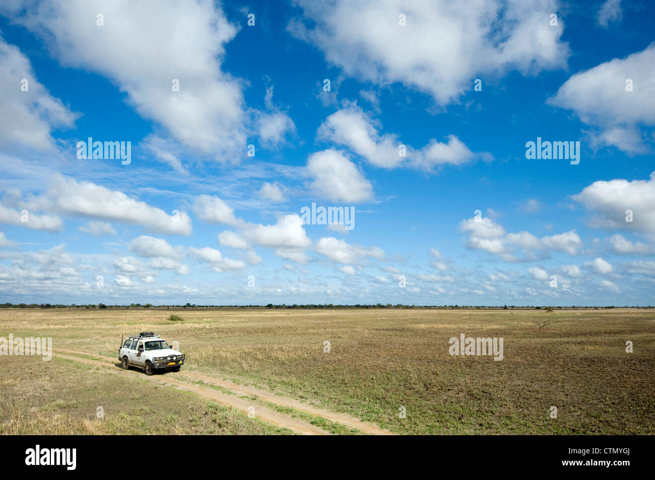 Desert landscape, Lochinvar National Park, Zambia Stock Photo Alamy