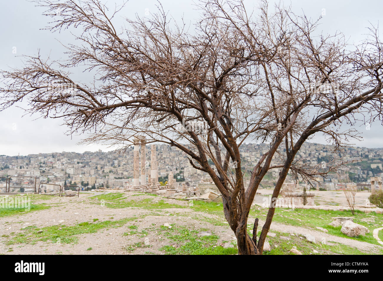 Rabat amon hires stock photography and images Alamy