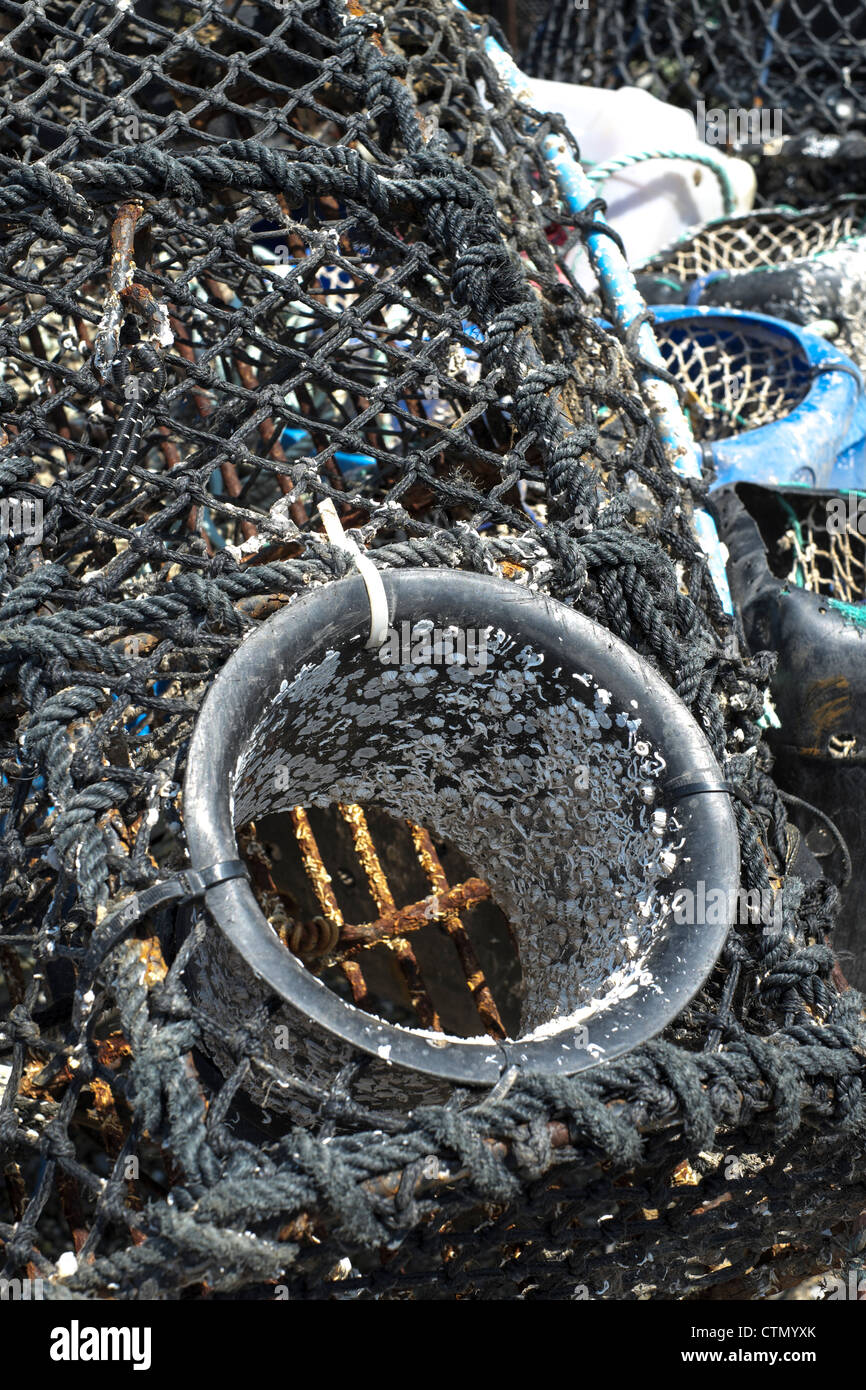 Lobster pot hires stock photography and images Alamy