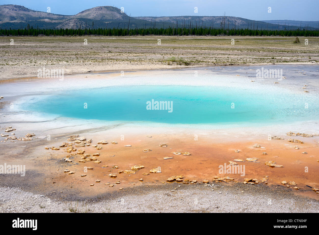 Opal pool and abstract patterns in mud, Midway Geyser Basin, Yellowstone National Park, Wyoming, USA Stock Photo