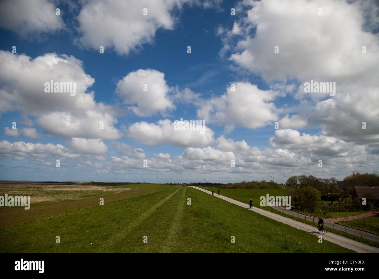 Grass track hi-res stock photography and images - Alamy