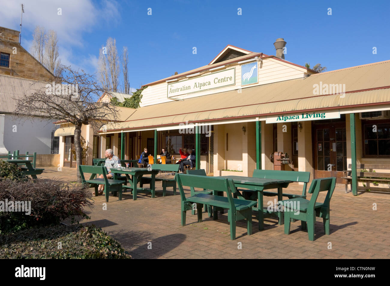 Australian Alpaca Centre, Berrima, Southern Highlands, New South Wales, Australia Stock Photo