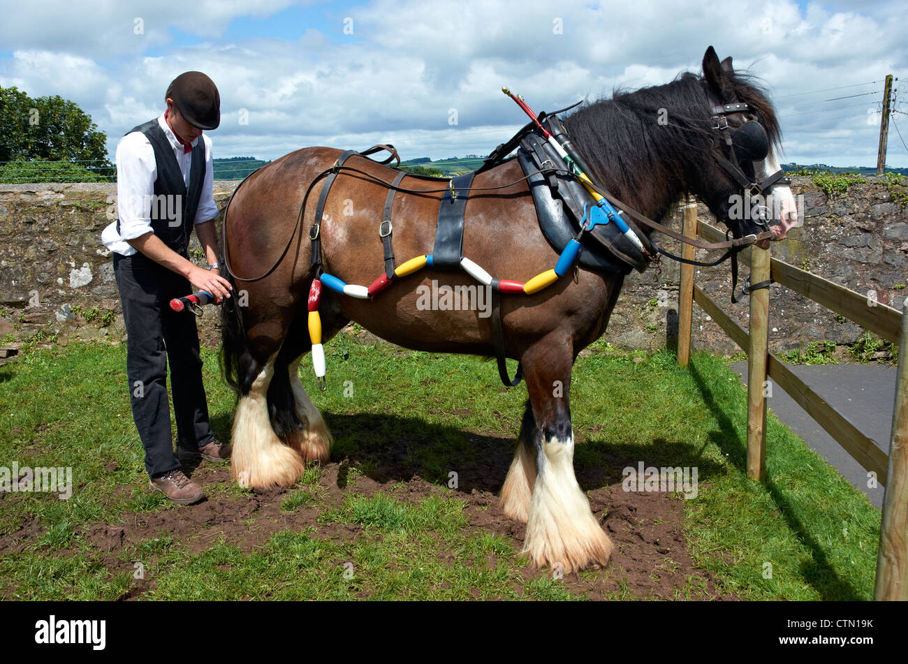 Grand western canal barge horse hires stock photography and images Alamy