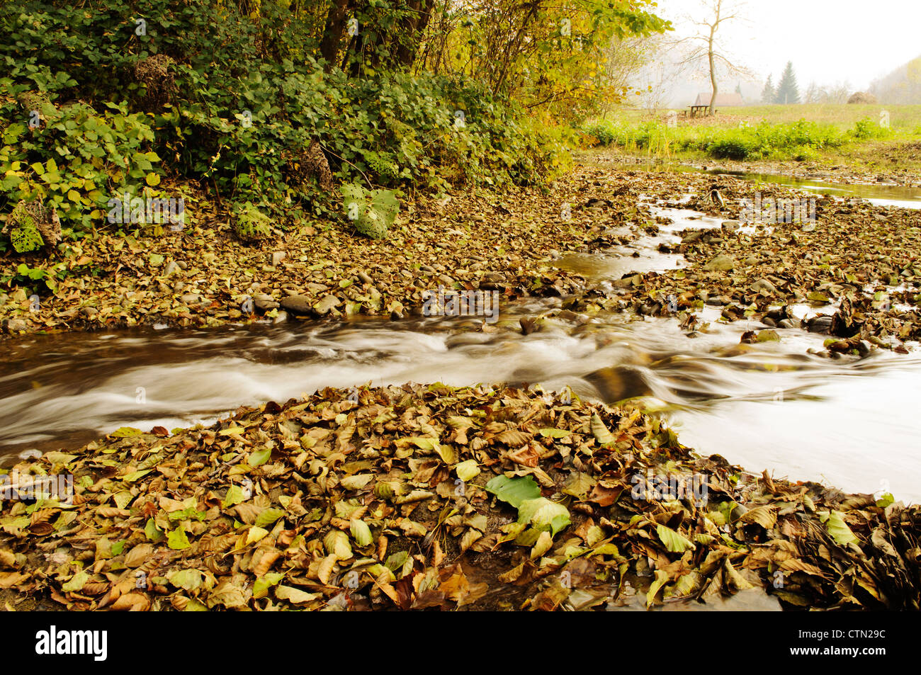 Stream Stock Photo