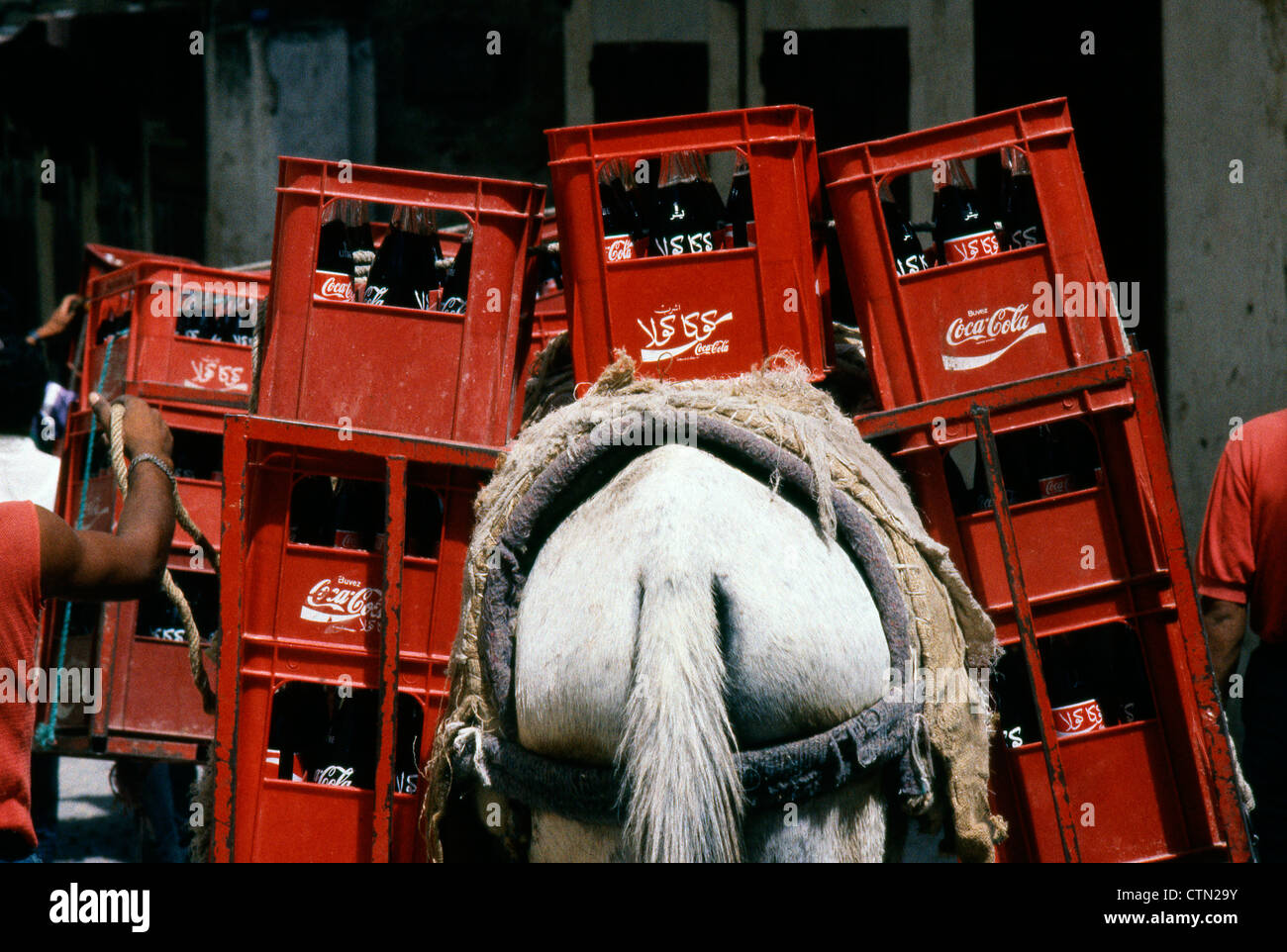 Coca Cola Mule Stock Photo - Alamy