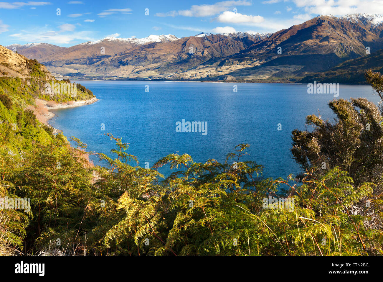Lake Wanaka, Boundary Creek Scenic Reserve, New Zealand Stock Photo