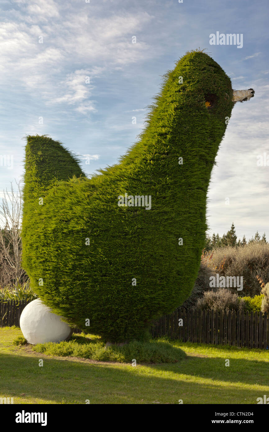 Quirky Kiwi Topiary, Central Otago, New Zealand Stock Photo