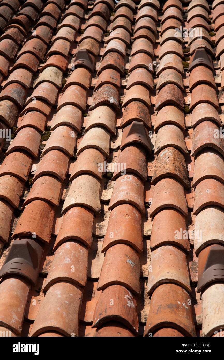 Terra Cotta roof tiles, Italy Stock Photo
