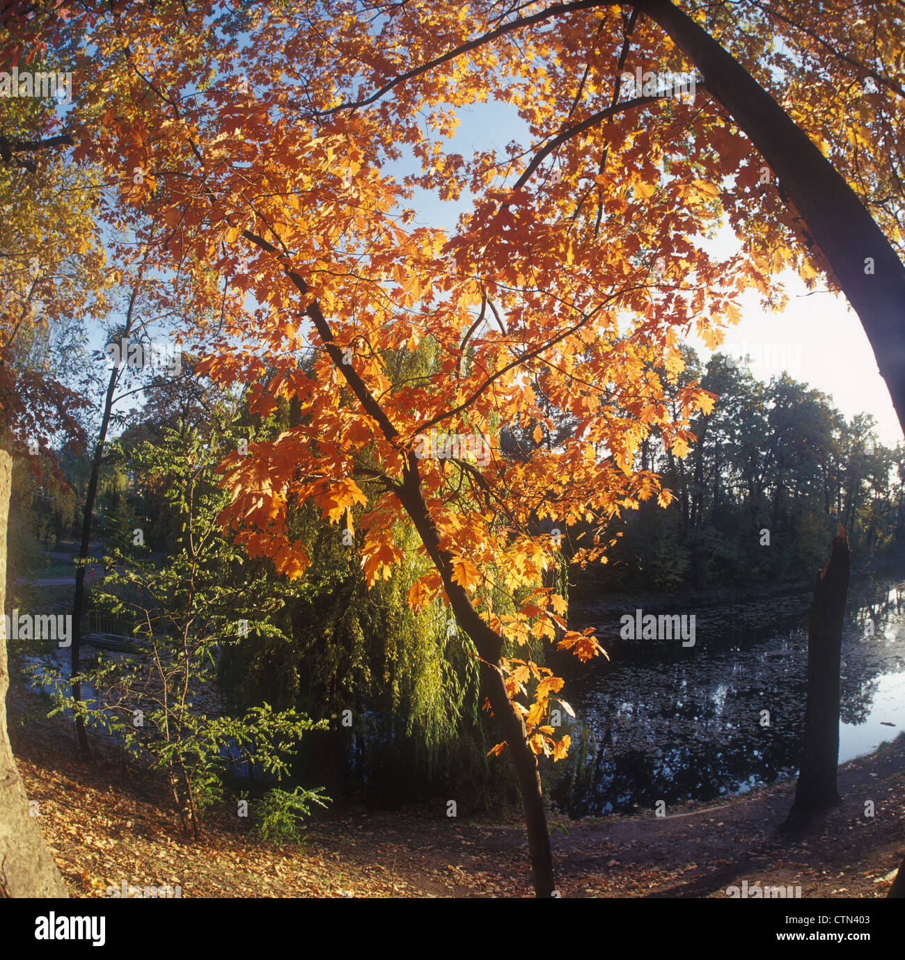 Super wide fish eye lens hi-res stock photography and images - Alamy