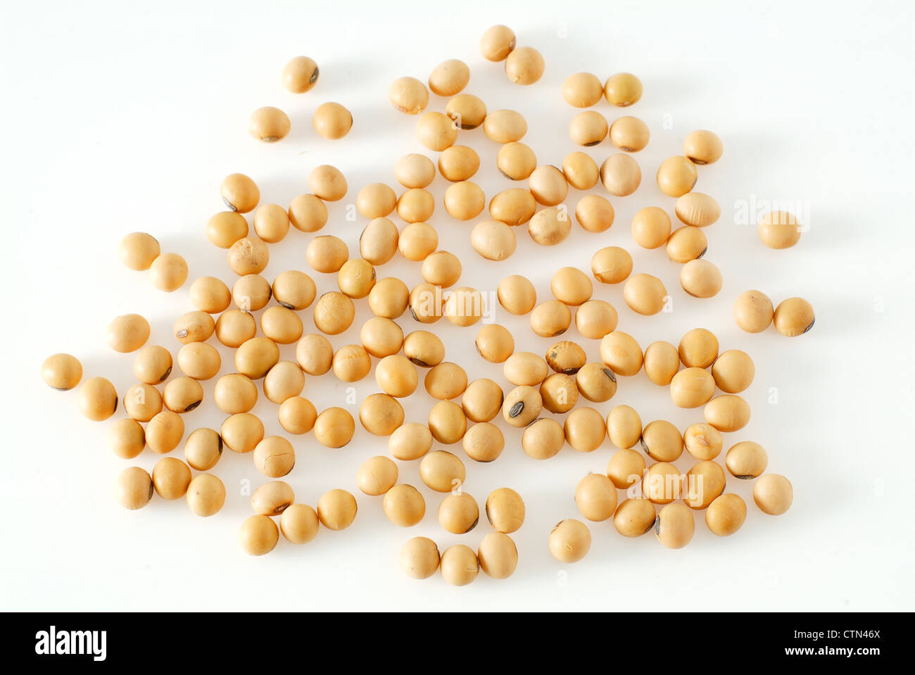soybean, foods that provide protein Stock Photo Alamy