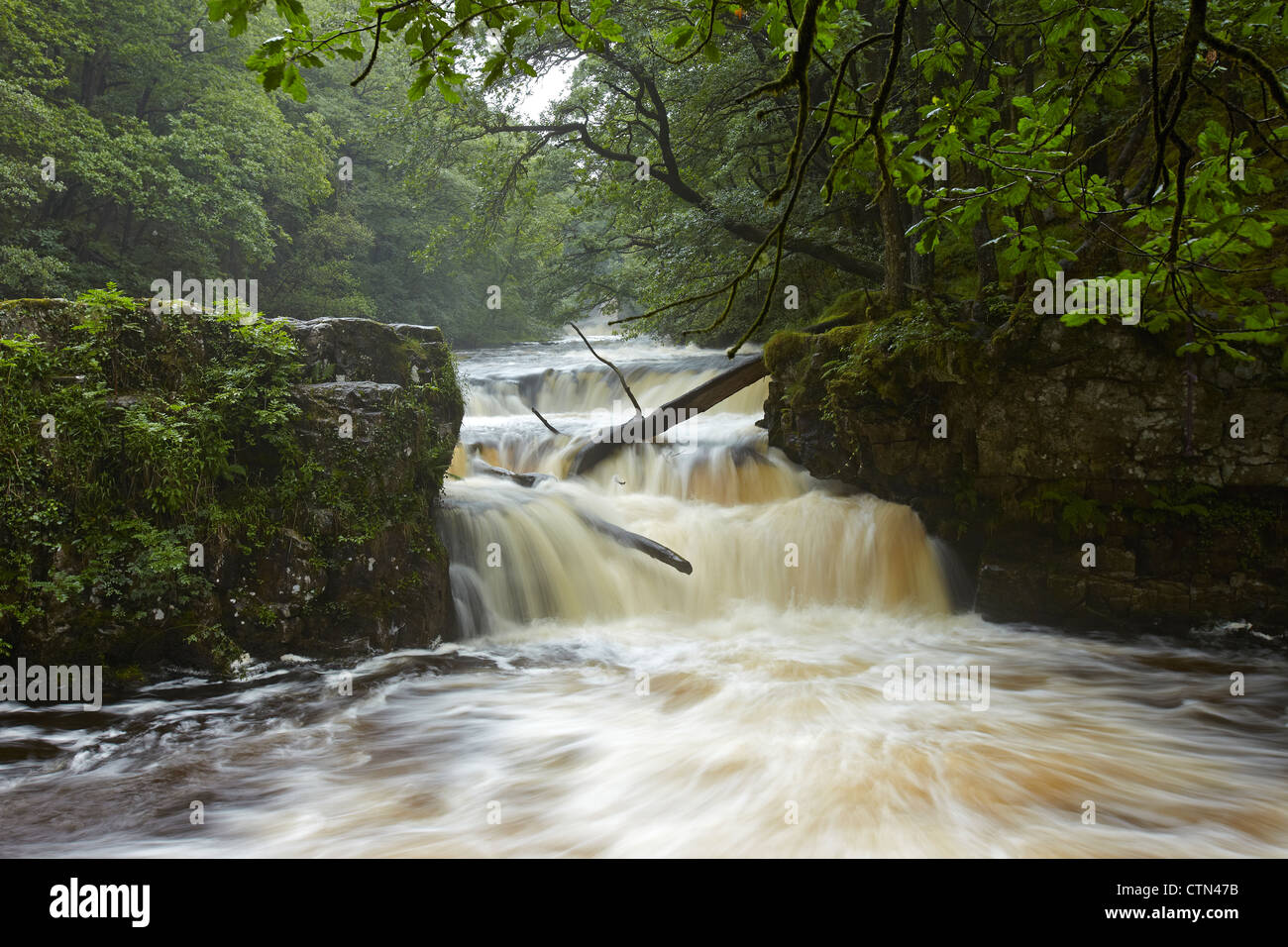 Horseshoe falls (Sqwd y Bedol) Waterfall on the Nedd Fechan