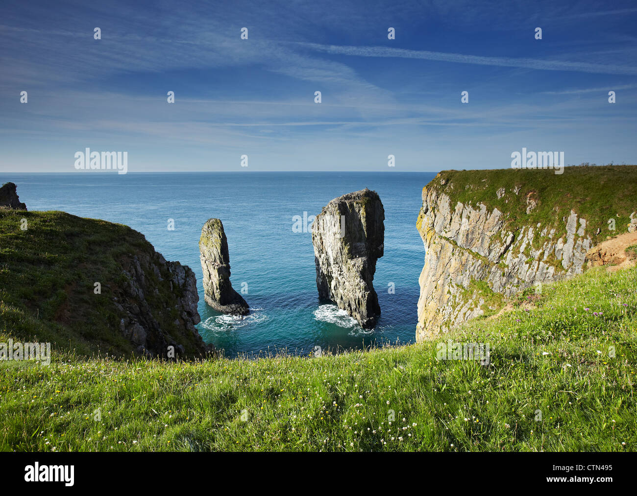 Elegug Stack Rocks, Pembrokeshire, Wales, UK Stock Photo
