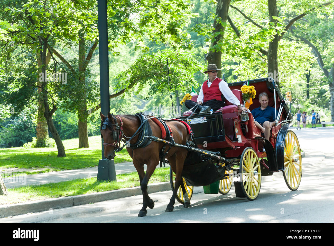 Central park tour hi-res stock photography and images - Alamy