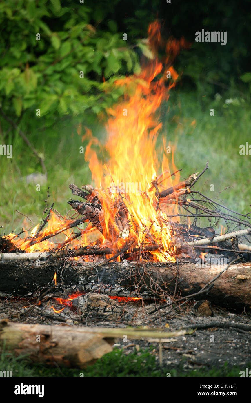 bonfire, campfire in the summer forest Stock Photo - Alamy