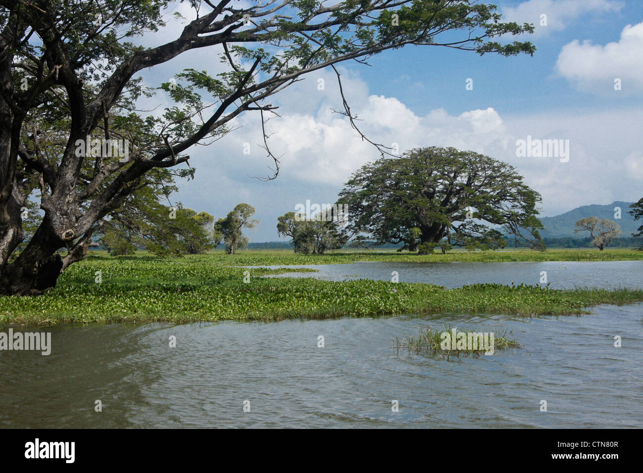 Tissa wewa hires stock photography and images Alamy