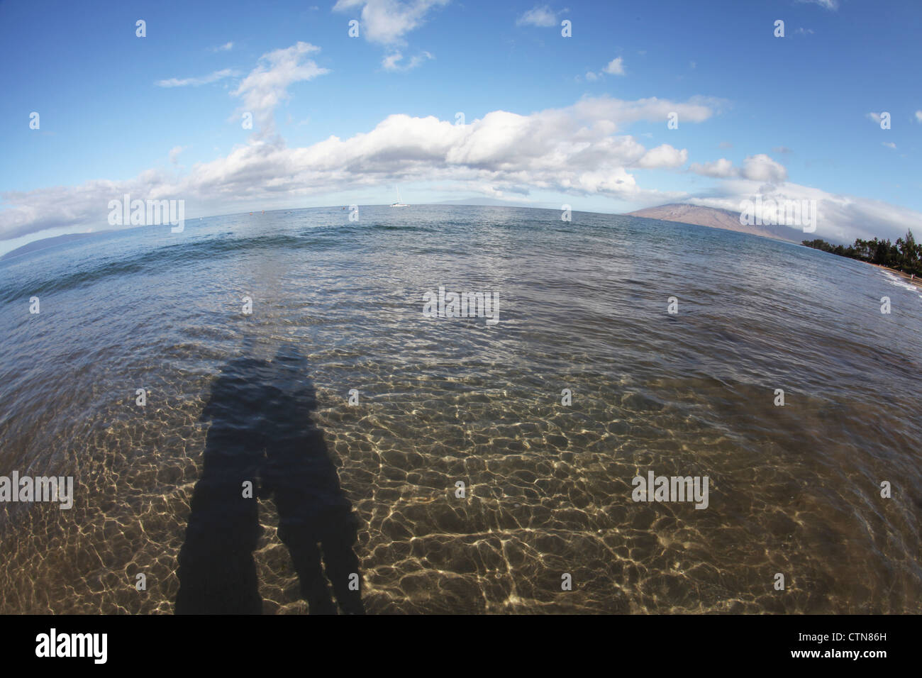 Silhouette of couple on clear ocean water, Hawaii Stock Photo Alamy