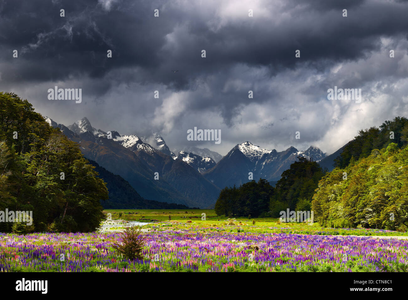 Mountain landscape with storm clouds, New Zealand Stock Photo