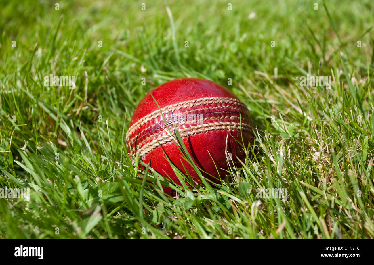 Cricket Ball On Grass Stock Photo - Alamy