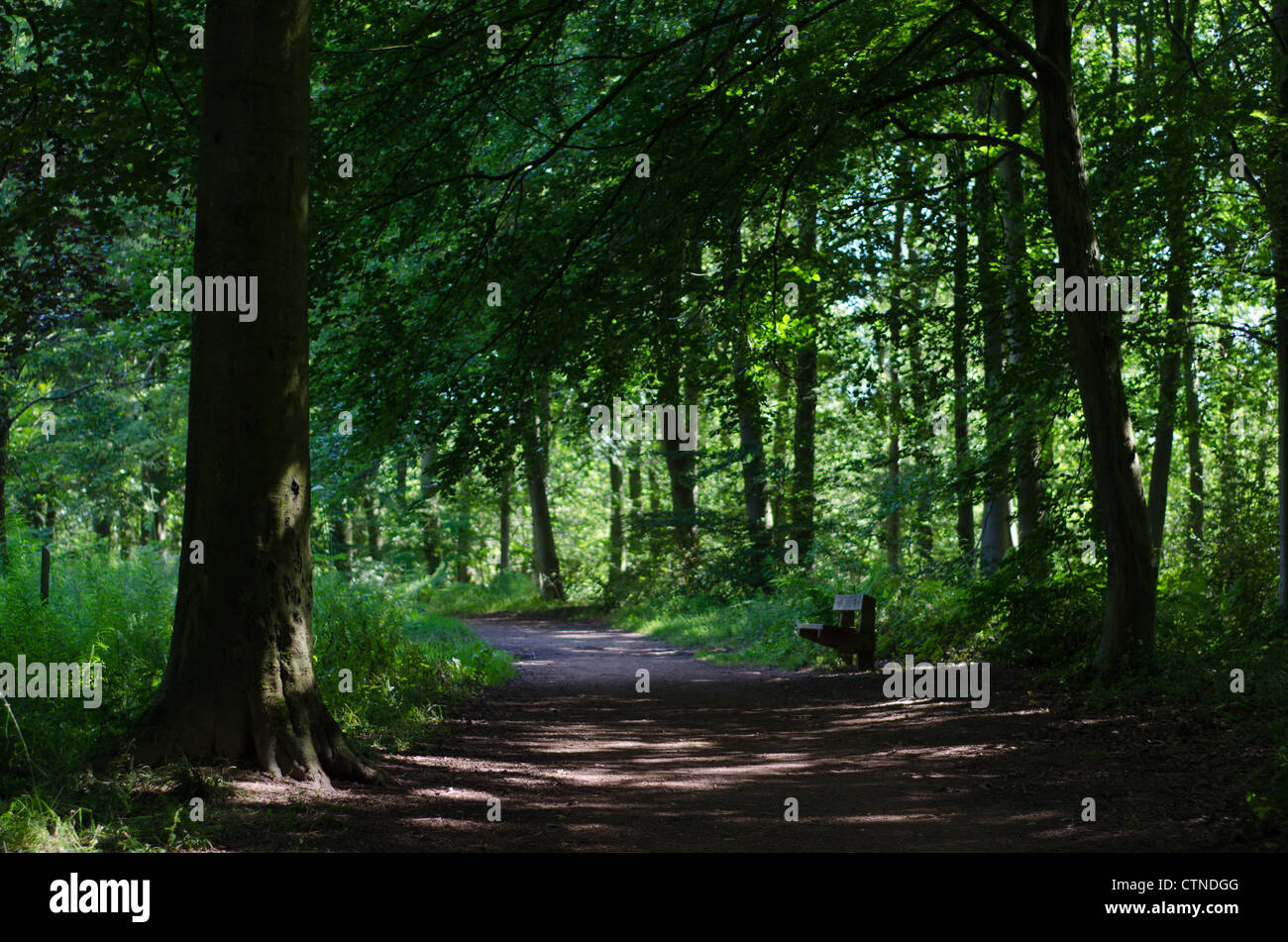 Meandering bench hi-res stock photography and images - Alamy