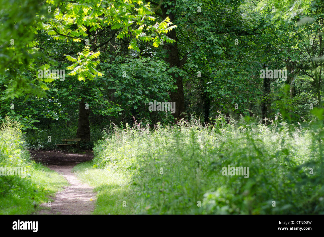 Meandering bench hi-res stock photography and images - Alamy