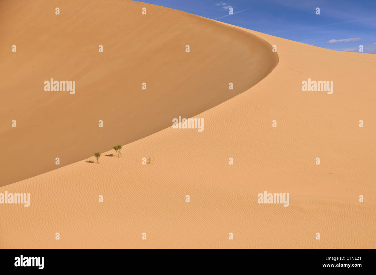 Dunes in the Rub Al Khali Desert in the western Oman Stock Photo